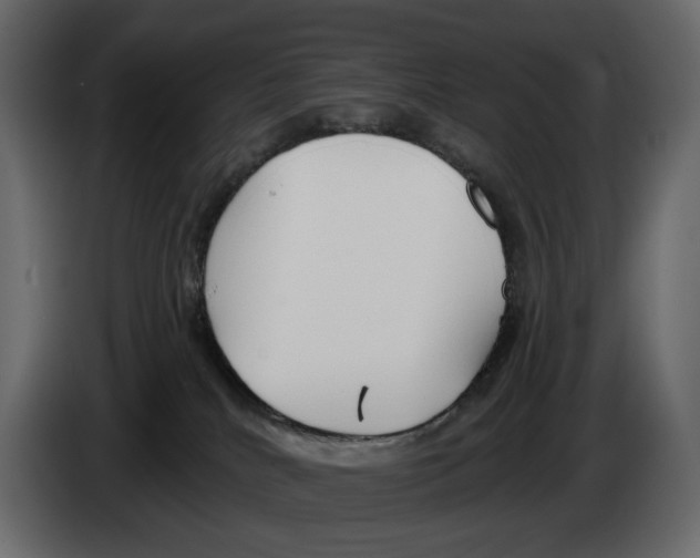 X0000082930040200703020115