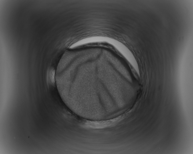 X0000082930041200703020115