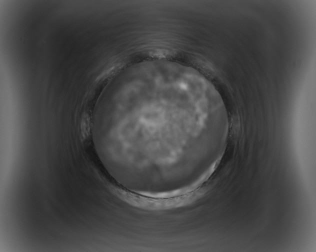 X0000082930043200703020115