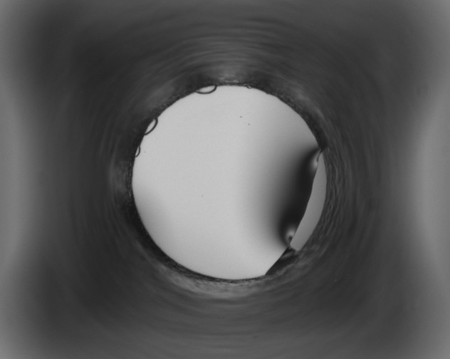 X0000082930044200703020115