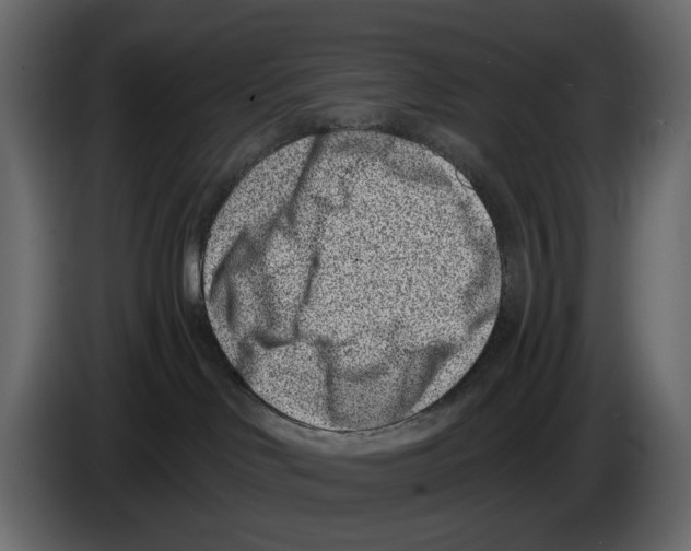 X0000082930046200703020115