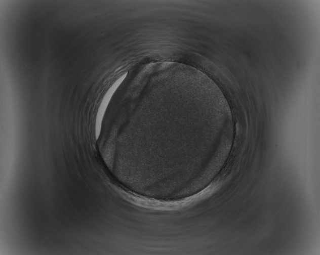 X0000082930048200703020115