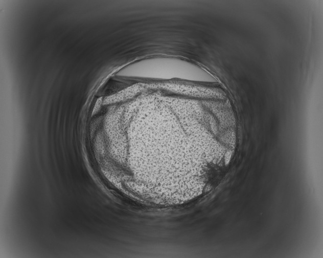 X0000082930049200703020114
