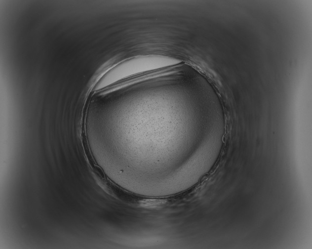 X0000082930051200703020114