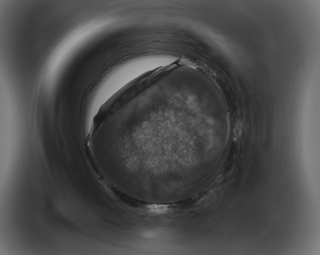 X0000082930052200703020114