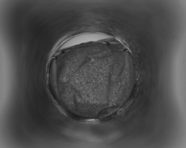 X0000082930053200703020114