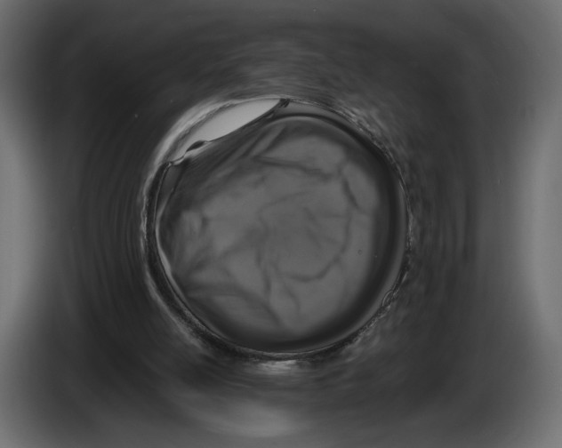 X0000082930054200703020114