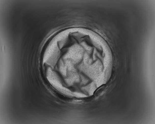 X0000082930055200703020114