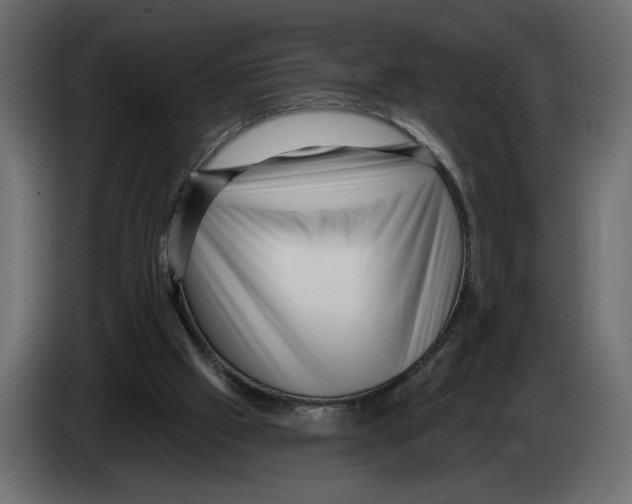 X0000082930057200703020114