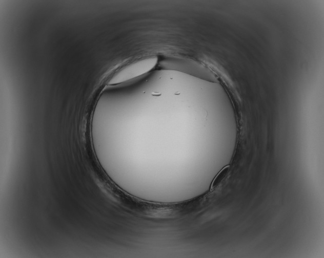 X0000082930058200703020114