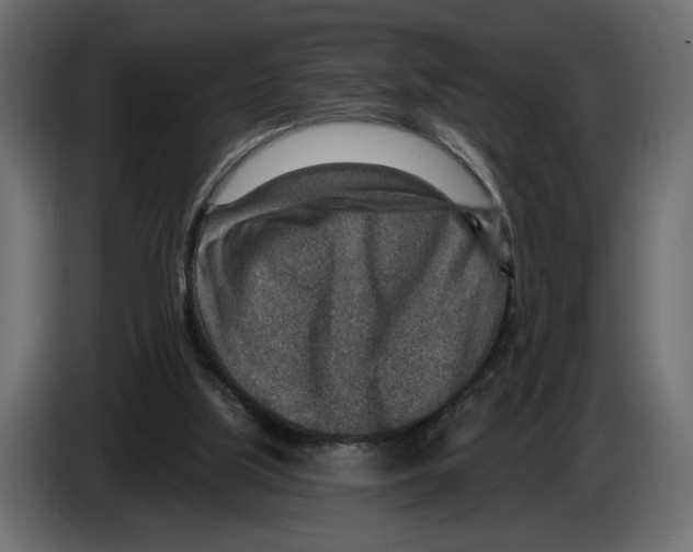 X0000082930059200703020114