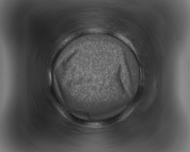 X0000082930061200703020114