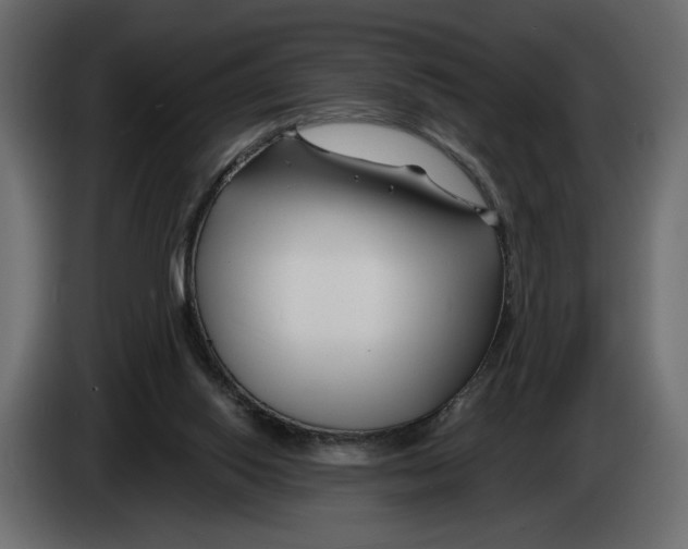 X0000082930062200703020114