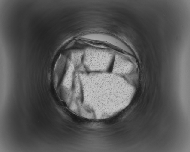 X0000082930063200703020114