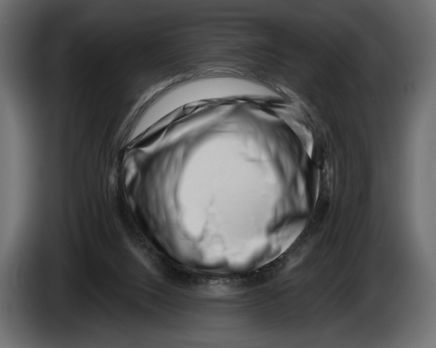 X0000082930064200703020114