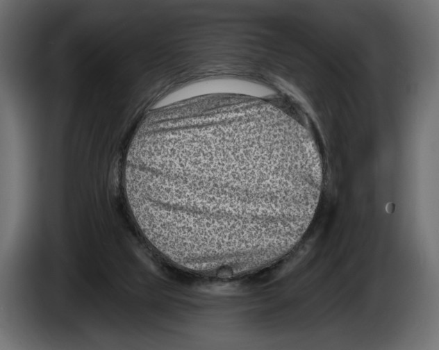 X0000082930065200703020114