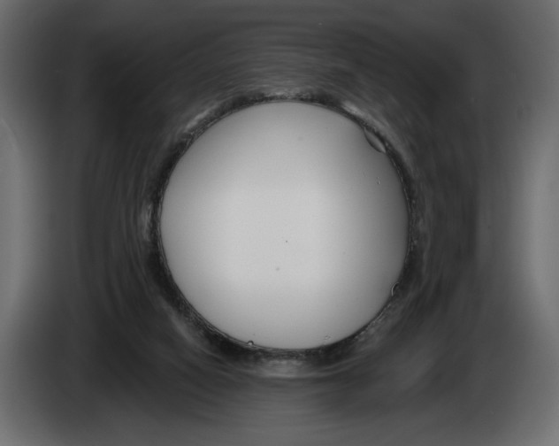 X0000082930066200703020114
