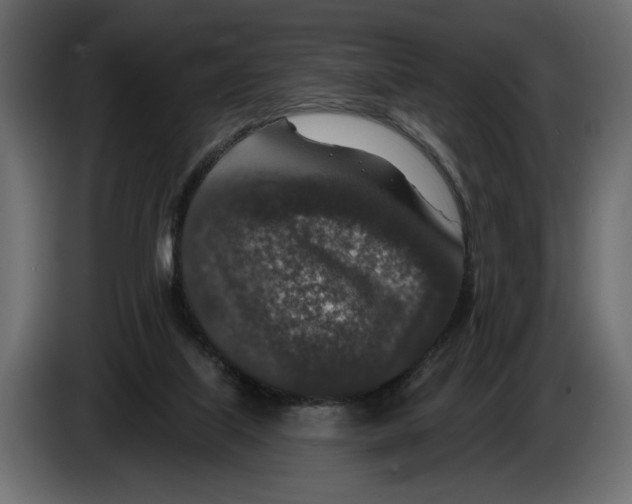 X0000082930067200703020114