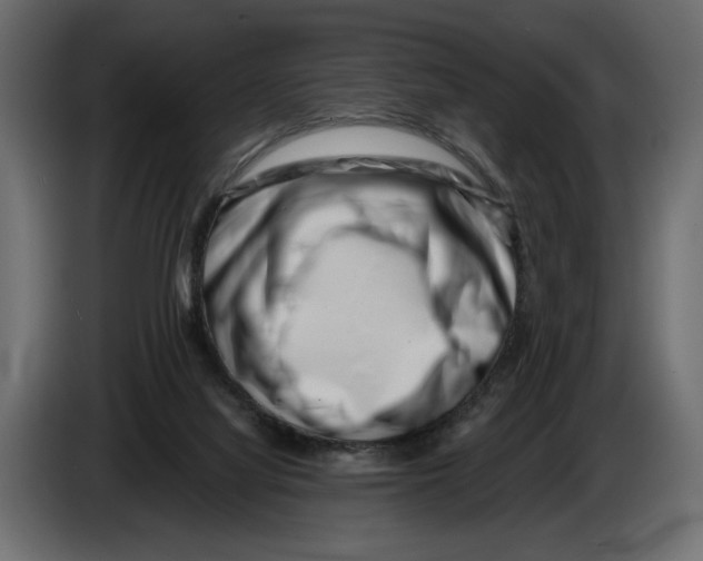 X0000082930068200703020114