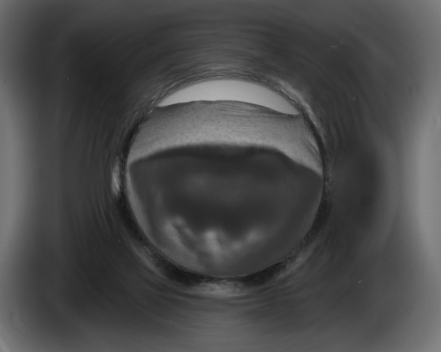 X0000082930069200703020114