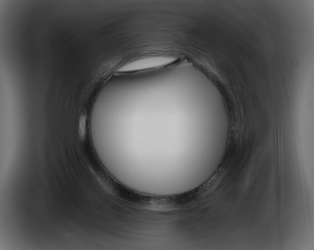 X0000082930070200703020114