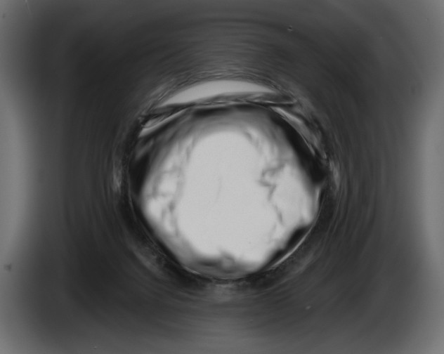 X0000082930072200703020114