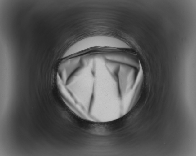 X0000082930073200703020114