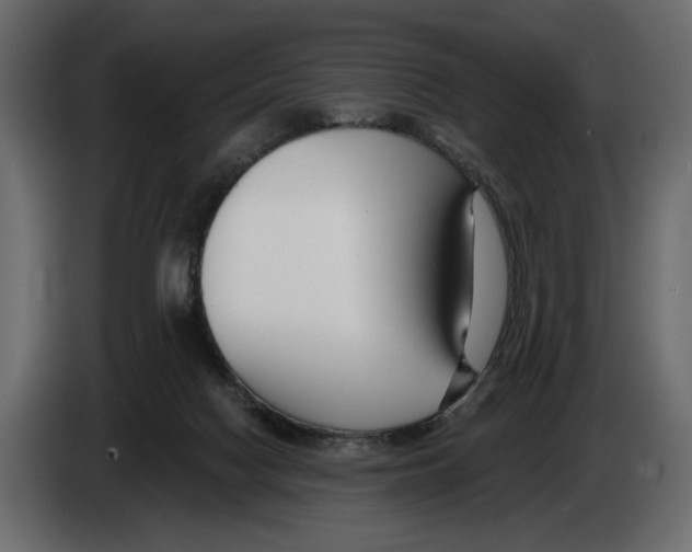 X0000082930074200703020114