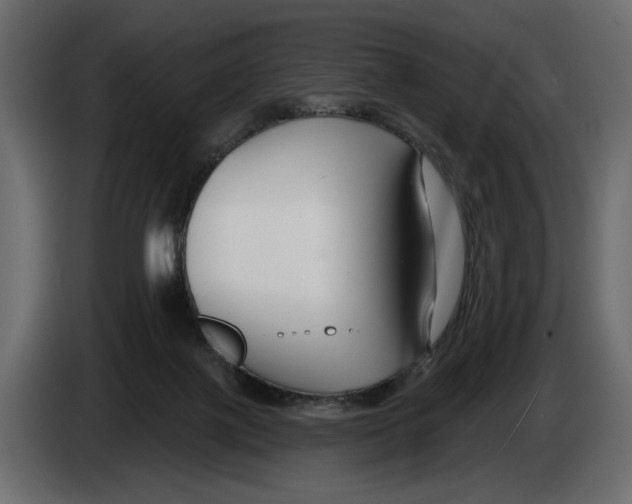 X0000082930075200703020114