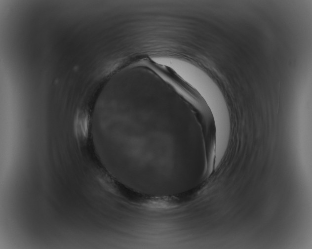 X0000082930076200703020114