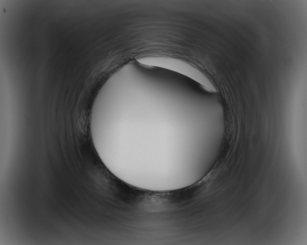 X0000082930078200703020114