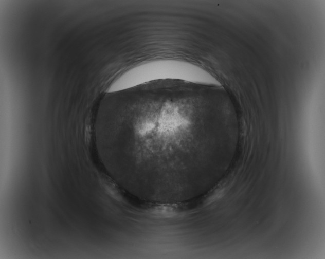 X0000082930080200703020114