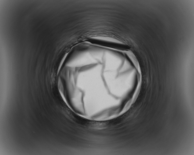 X0000082930081200703020115