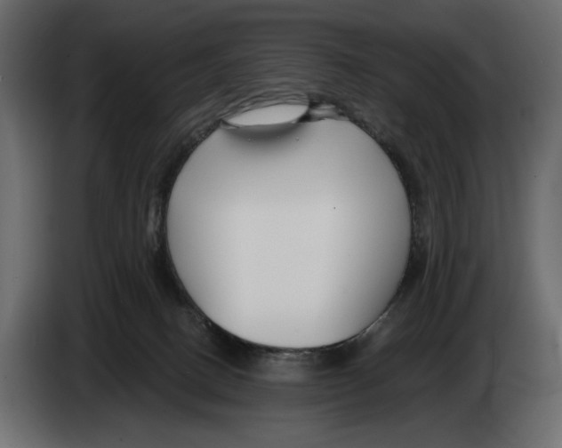 X0000082930082200703020115
