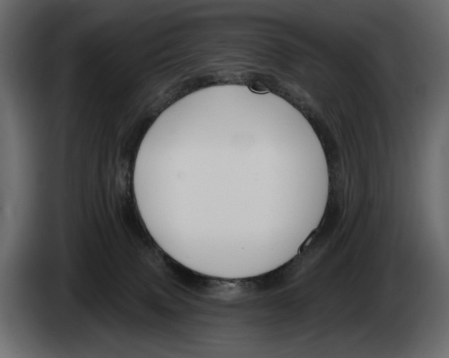 X0000082930083200703020115