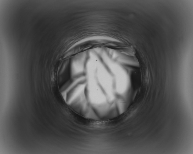 X0000082930084200703020115