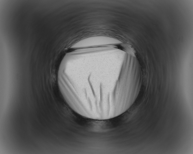 X0000082930085200703020115