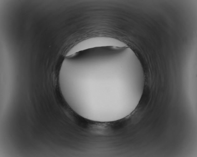 X0000082930086200703020115