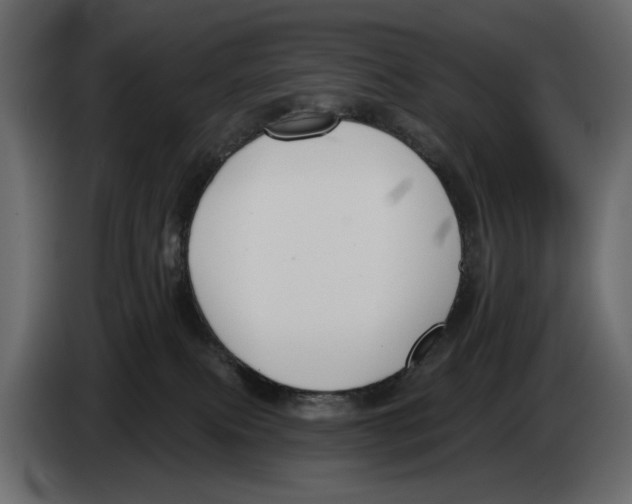 X0000082930087200703020115
