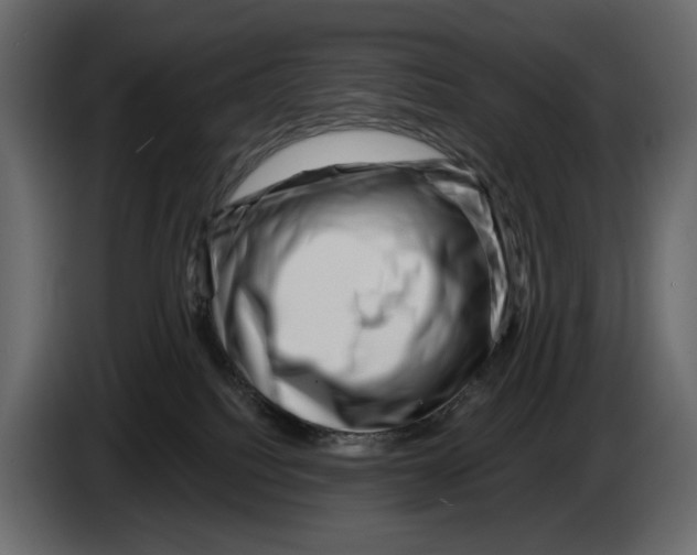 X0000082930088200703020115
