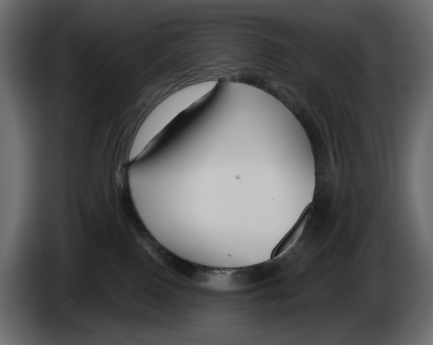 X0000082930090200703020115