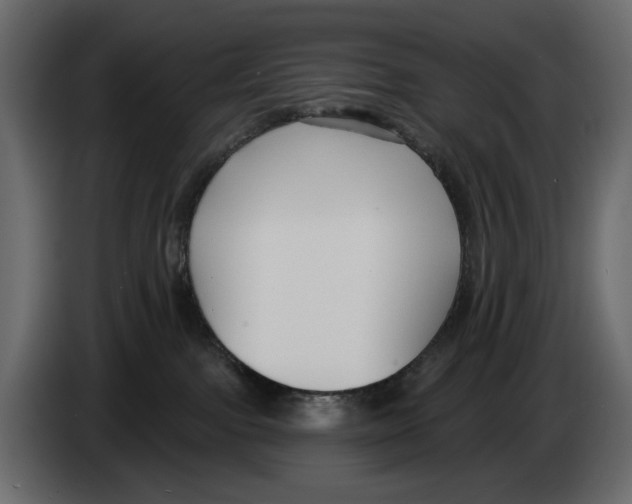 X0000082930091200703020115