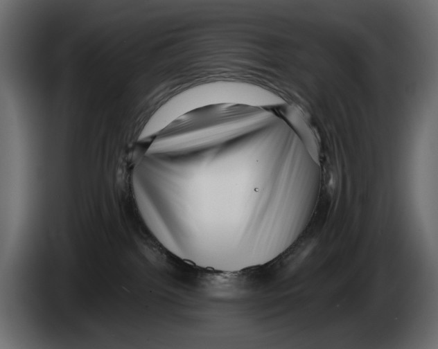 X0000082930092200703020115