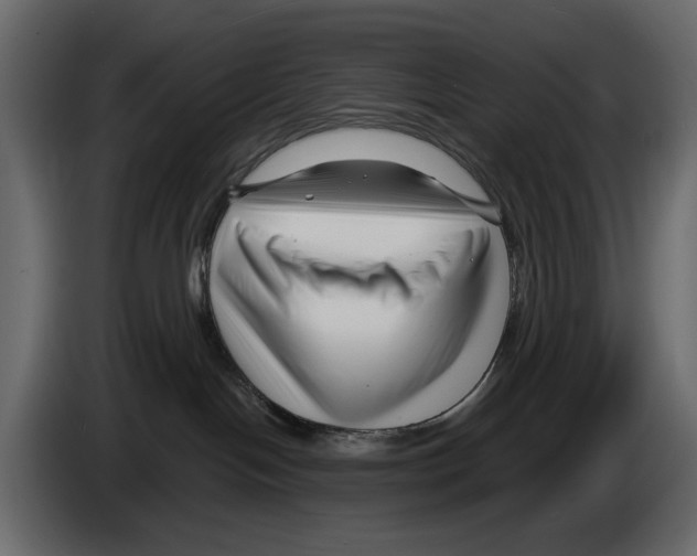 X0000082930094200703020115