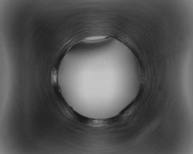 X0000082930095200703020115