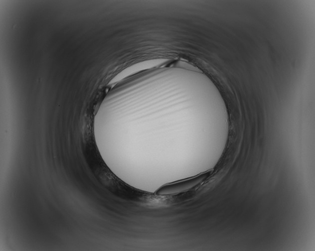 X0000082930096200703020115