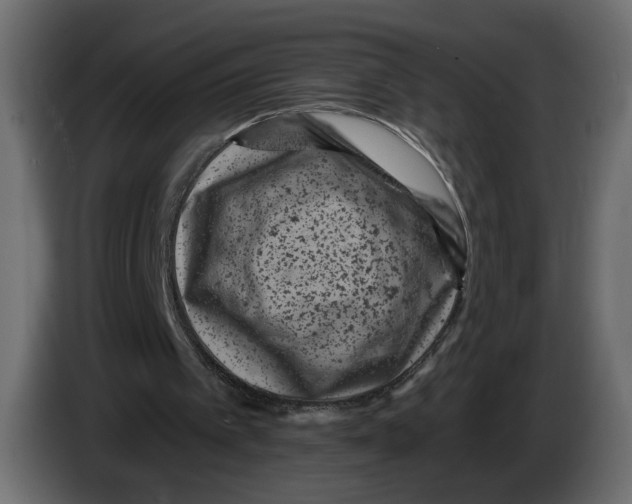 X0000082930097200703020114