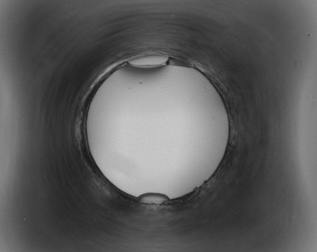 X0000082930098200703020114