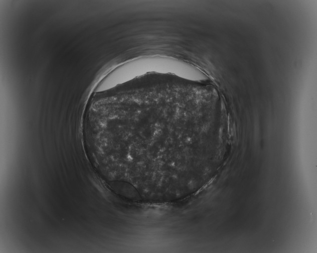 X0000082930099200703020114