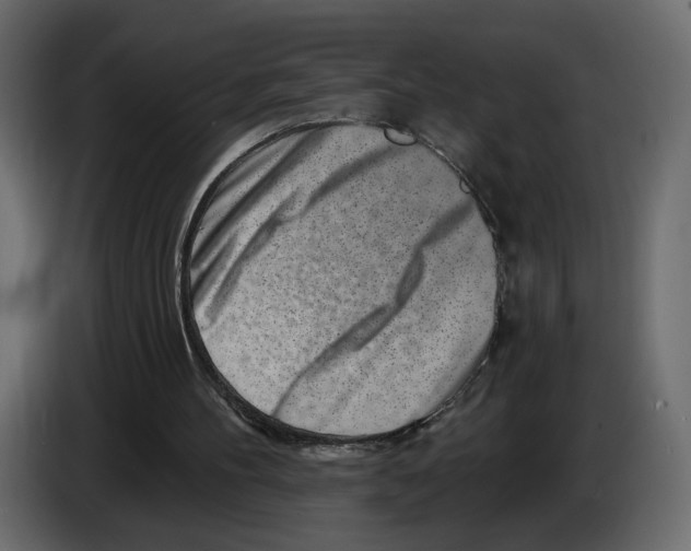 X0000082930100200703020114
